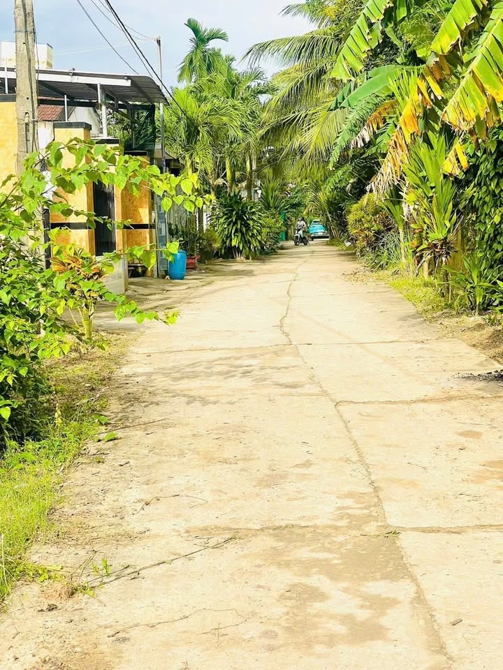 Lô đất đẹp Phú Hải - Đại Hiệp 196.8m² nở hậu giá 950 triệu - Đầu tư sinh lời ngay!