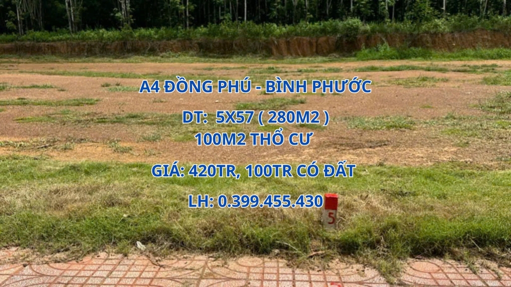 Đất nền Đồng Tiến, Đồng Phú, Bình Phước 280m² giá chỉ 420 triệu - Cơ hội đầu tư hấp dẫn!