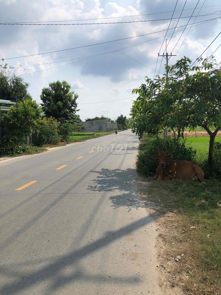 Đất nền Xuân Thới Thượng 120m² giá 3,65 tỷ - Pháp lý đầy đủ, tiện xây dựng!