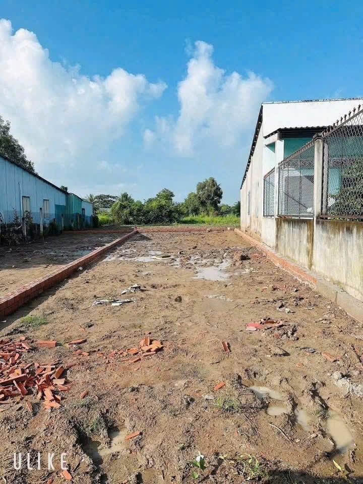 Đất thổ cư xã Mỹ Lộc, huyện Cần Giuộc 140m² giá 1.15 tỷ - Lô đẹp duy nhất!