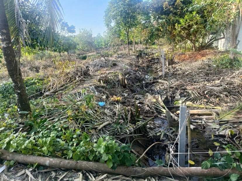 Đất nền 1.600 m² tại Mỹ Khánh, Phong Điền, Cần Thơ - Chỉ 3,8 tỷ, cơ hội đầu tư tuyệt vời!