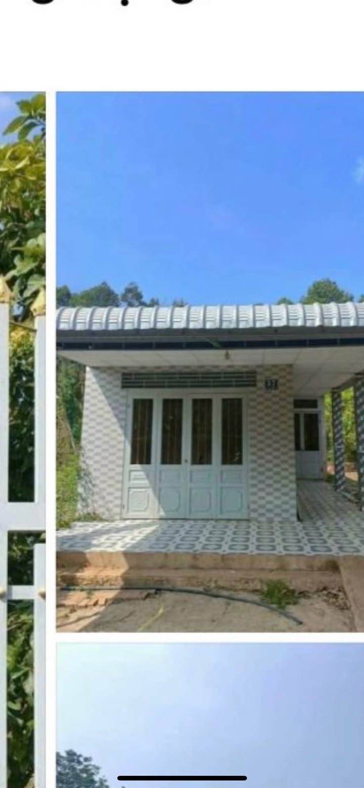 Đất nền 250m² xã Tân Biên, Tây Ninh giá 500 triệu - Cơ hội đầu tư hấp dẫn!