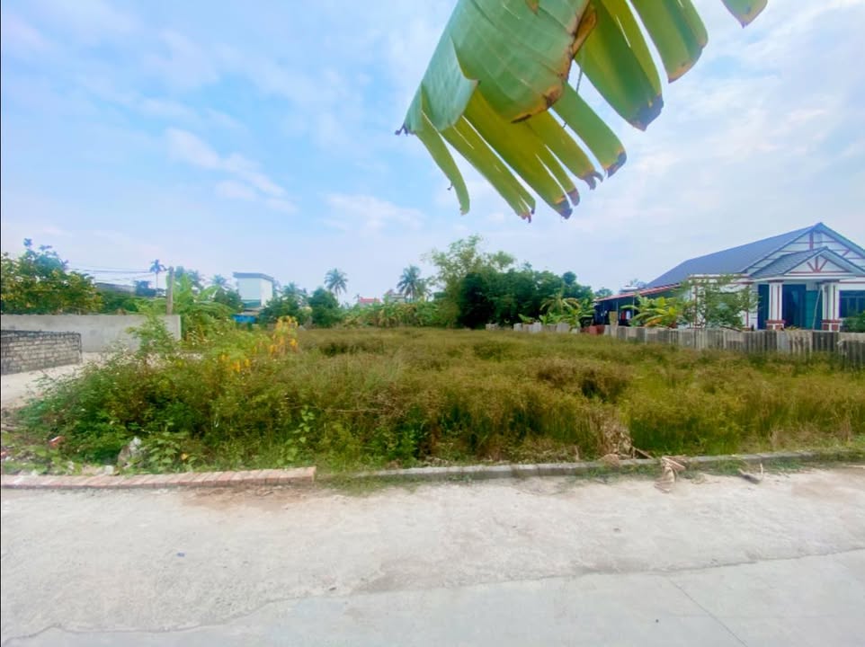 Đất vườn 1000m² tại xã Chí Minh, giá 3 tỷ - Đầu tư sinh lời ngay!