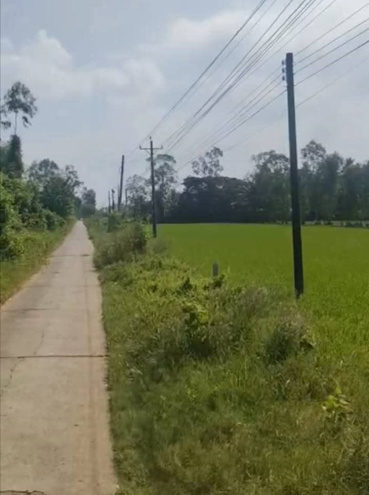 Đất nền Huyện lộ 29, Long Phú, 1008m² - Giá chỉ 840 triệu!