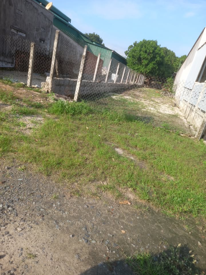 Đất nền Bãi Giếng 2, Cam Hải Tây 480m², giá 3 tỷ - Cơ hội đầu tư hấp dẫn!