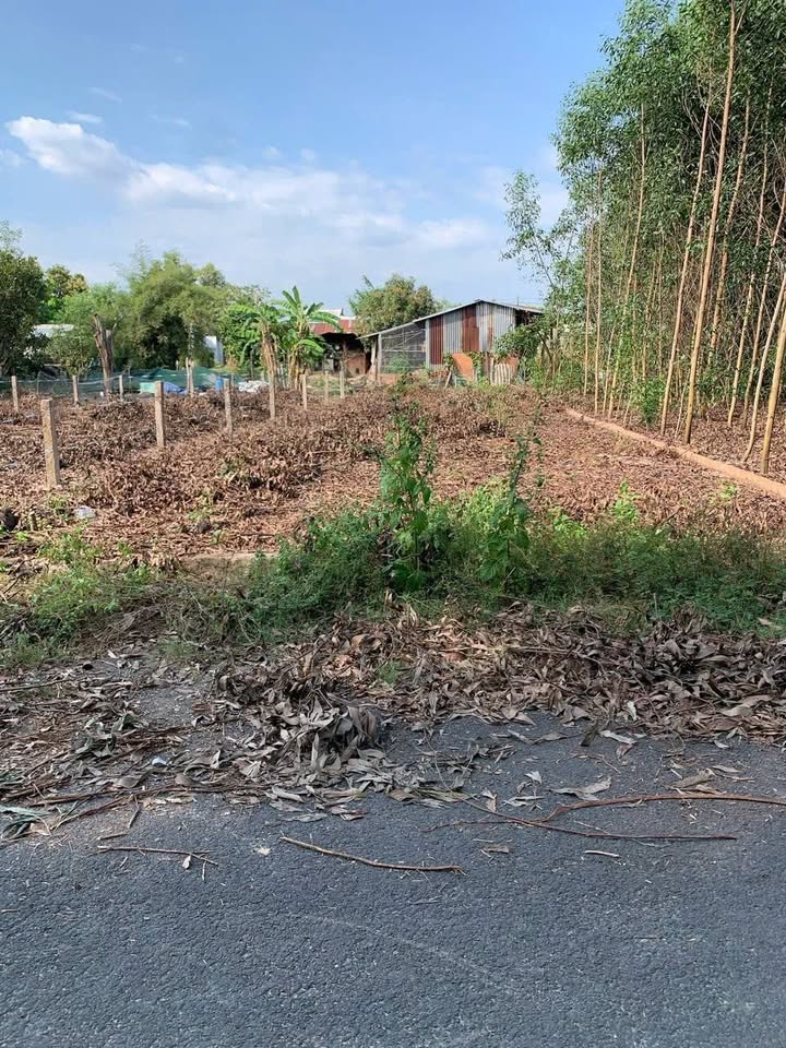 Đất nền Bông Trang, Xuyên Mộc 331.7m² giá 1.65 tỷ - Đường nhựa thông thoáng, tiện ích đầy đủ!