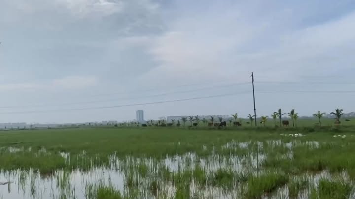 Đất nền Thạch Bình 115m² giá 1.7 tỷ - Cơ hội đầu tư tuyệt vời!