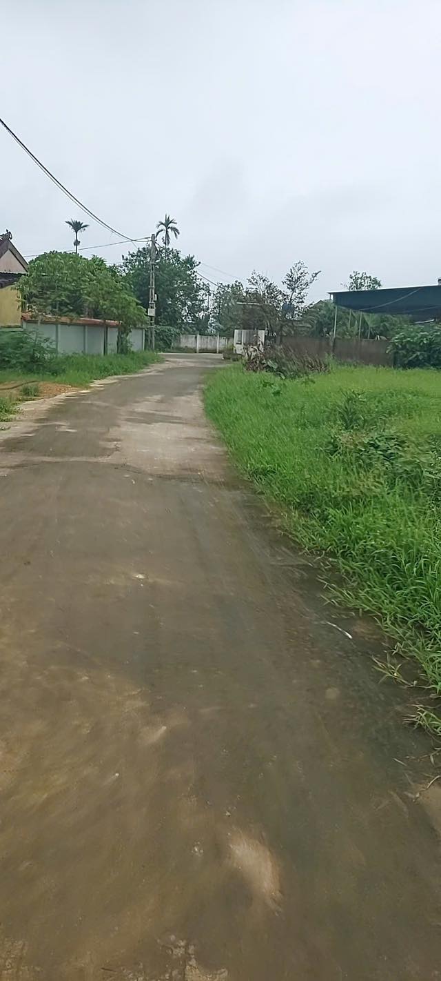 Đất nền Khánh Vĩnh Yên 229,9m² giá chỉ 550 triệu - Cơ hội đầu tư tuyệt vời!