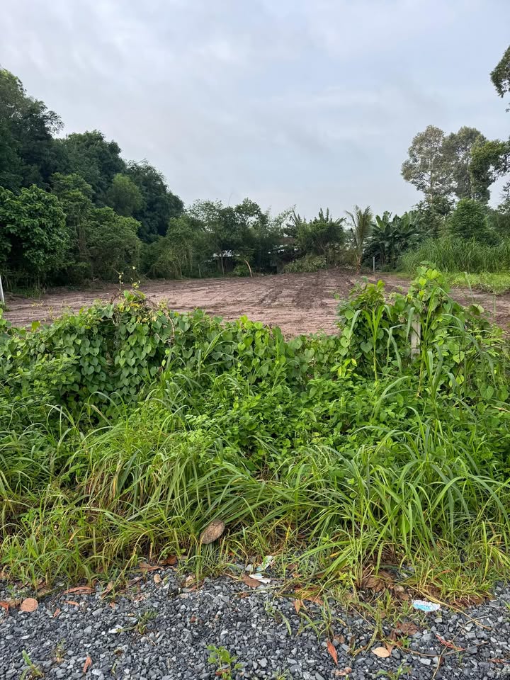 Đất 1020m² đường Nguyễn Thị Nê, Củ Chi chỉ 5.4 tỷ - Đầu tư sinh lời ngay!