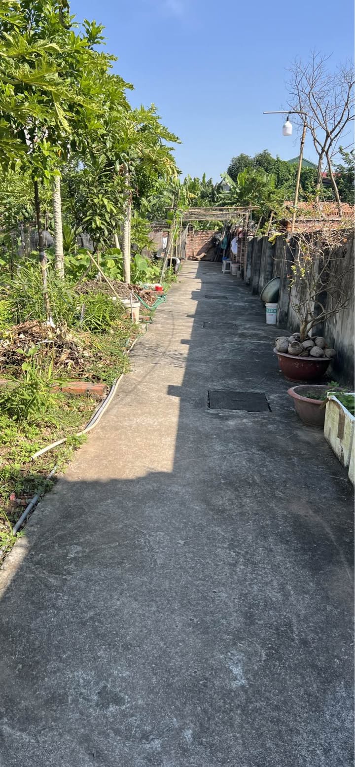 Đất nền Đặng Xá 40m² giá 2.65 tỷ - Cơ hội đầu tư hiếm có!