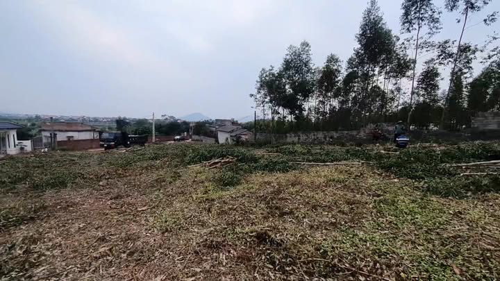 Đất nền Tam Dị Lục Nam 1150m² giá 1.3 tỷ - Cơ hội đầu tư hấp dẫn!