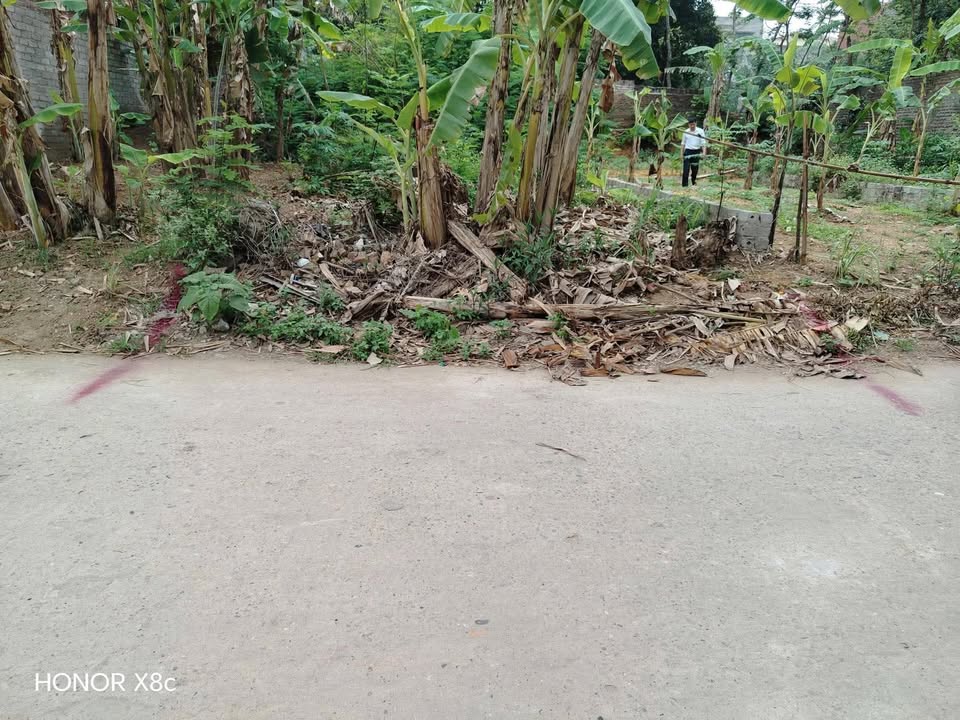 Đất thổ cư 100m² Hiệp Hòa Bắc Giang giá chỉ 1.4 tỷ - Cơ hội đầu tư tuyệt vời!