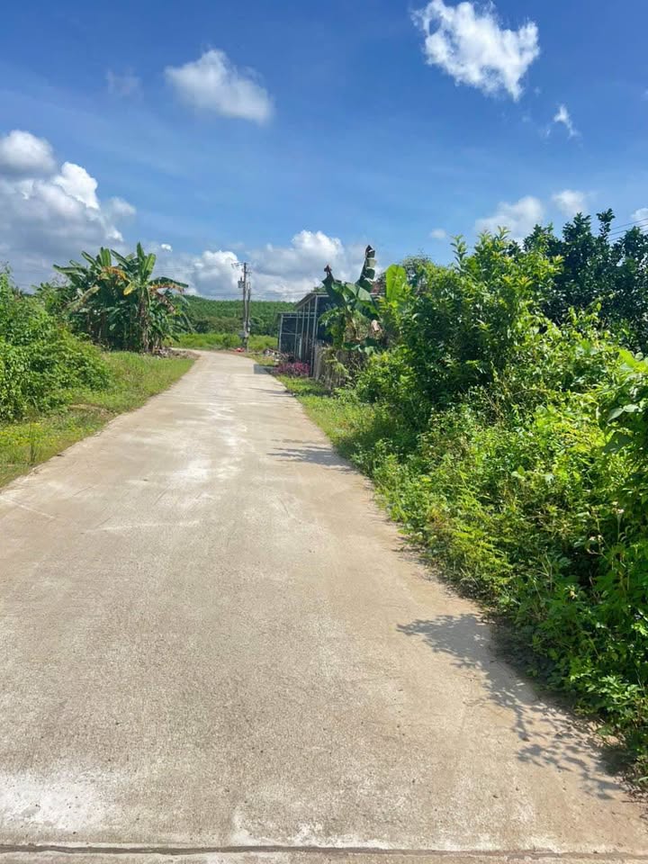 Đất nền Khánh Nam 400m² giá 499 triệu - Tiềm năng phát triển cao!