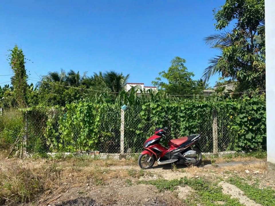 Đất nền Diên Toàn - Diên Khánh 110m² giá 820 triệu - Cơ hội đầu tư tuyệt vời!