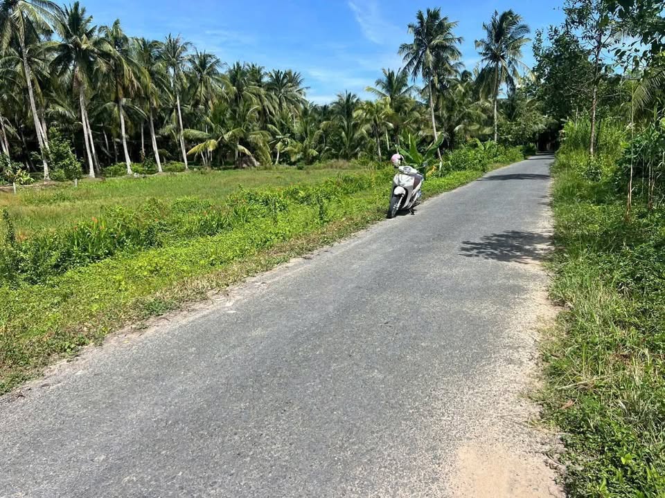 Đất nền Hiếu Nghĩa Vĩnh Long 140m² giá 320 triệu - Mặt tiền kinh doanh đắc địa!