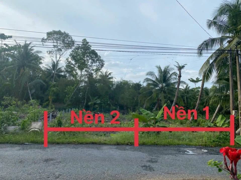 Đất nền liền kề mặt tiền đường huyện 31B, Vĩnh Long - Giá chỉ 620 triệu