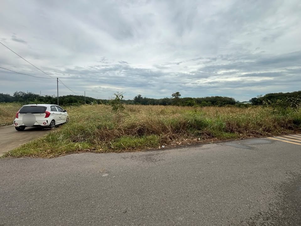 Đất thổ cư Tân Định Bến Cát 4.921m² - Giá thỏa thuận hấp dẫn!