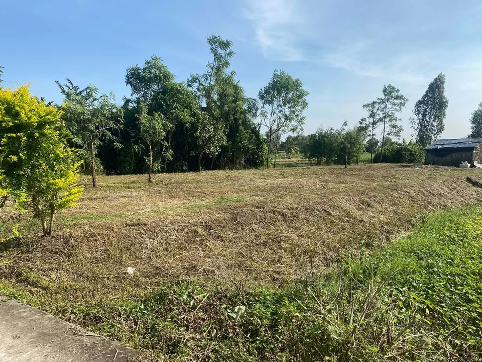 Đất nền mặt tiền Ấp Hòa Tân, Mỹ Xuyên 2250m² giá 2.7 tỷ - Cơ hội đầu tư sinh lời!