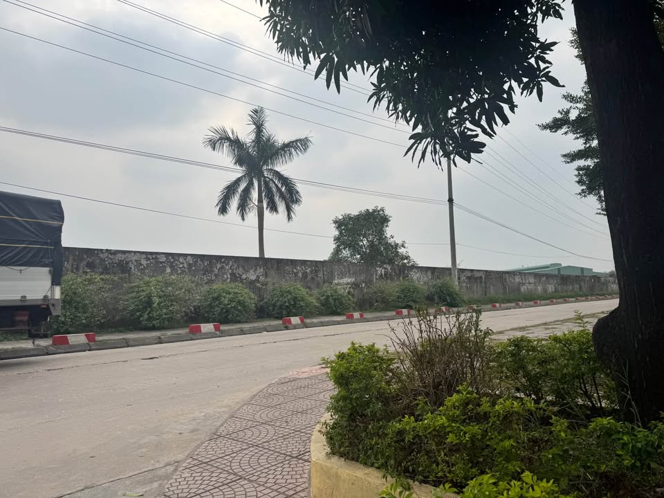 Đất nền KDC Hòa Bình Ninh Bình 112m² - Mặt tiền 5,9m, giá đầu tư hấp dẫn!