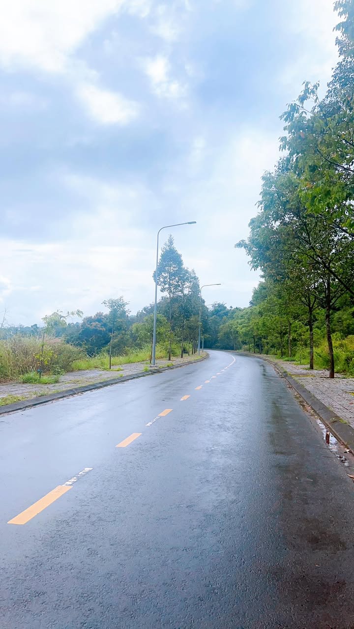 Đất thổ cư 350m² tại phường Nghĩa Tân, Gia Nghĩa - Giá chỉ 1,25 tỷ!