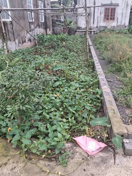 Đất thổ cư tại thôn Ngọ, xã Chuyên Mỹ, huyện Phú Xuyên 50m² chỉ 1.35 tỷ - Đầu tư sinh lời cao!