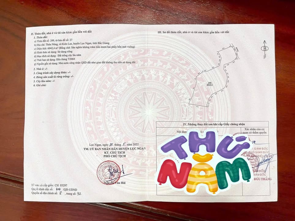 Đất nền Kiên Lao Lục Ngạn 6042m² giá 680 triệu - Cơ hội đầu tư hấp dẫn!