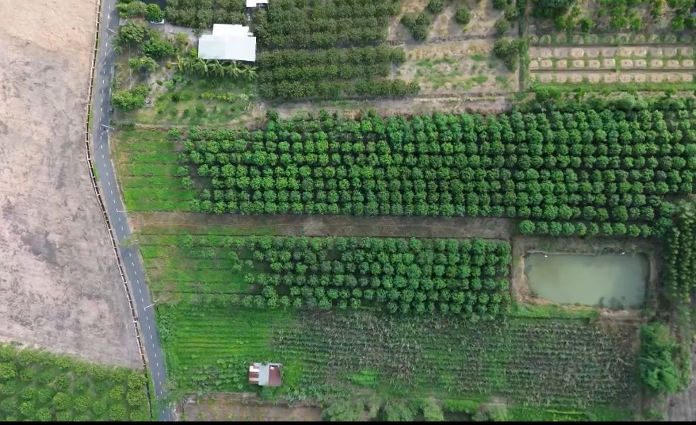 Đất nền Hòa Hiệp, Xuyên Mộc 12000m² giá chỉ 4.8 tỷ - Cơ hội đầu tư tuyệt vời!