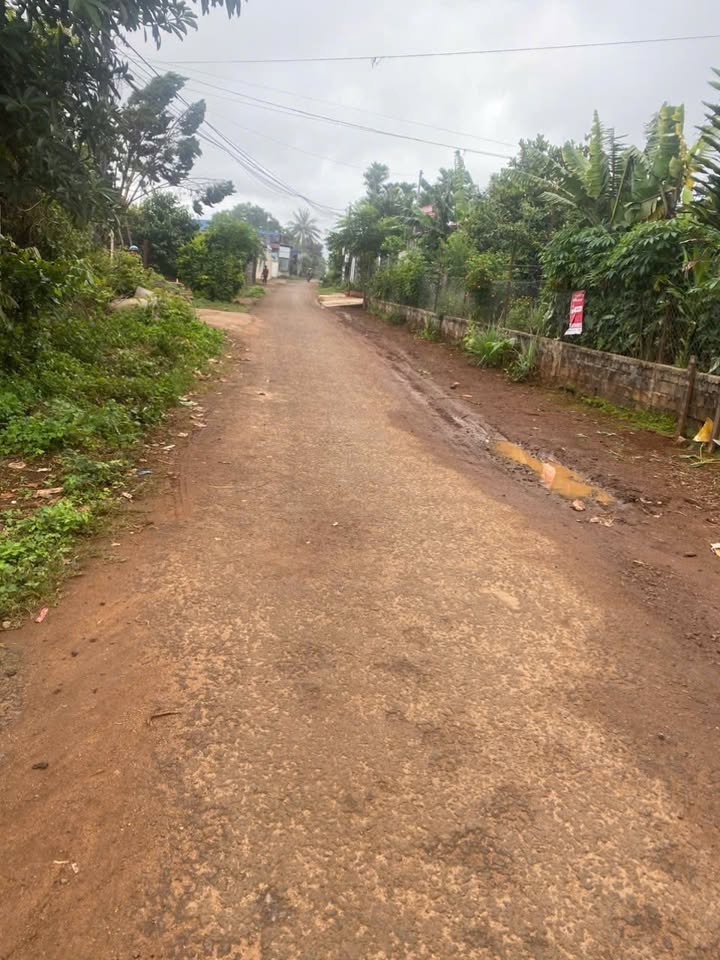 Đất nền hẻm 516 Lê Duẩn, Pleiku 279m² giá 1.7 tỷ - Đầu tư sinh lời ngay!