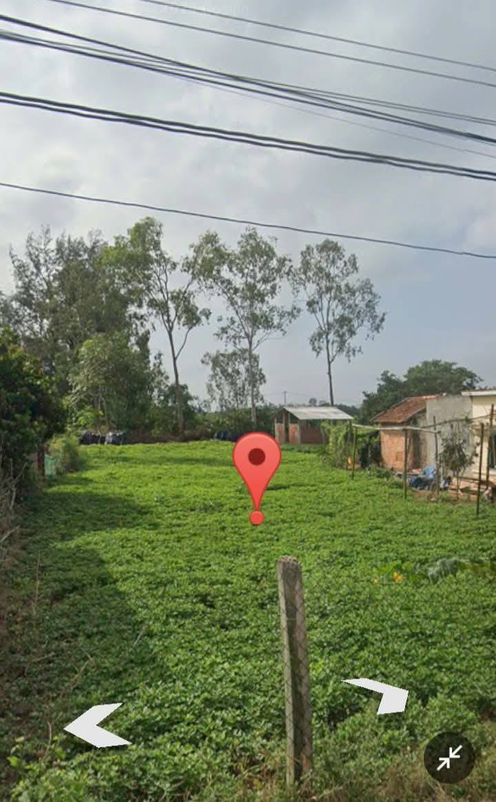 Lô đất thổ cư 490m² tại Thôn Đạm Thuỷ Bắc, Mộ Đức - Cách biển chỉ 100m!