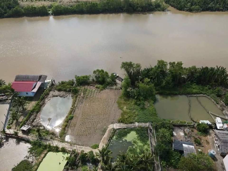 Đất thổ cư 220m² tại ấp Long Bào, Cần Giuộc chỉ 1.05 tỷ - Sổ đỏ chính chủ, thương lượng!