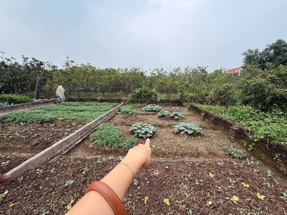 Đất nền Thư Phú 40m² giá 2 tỷ - Đầu tư sinh lời ngay!