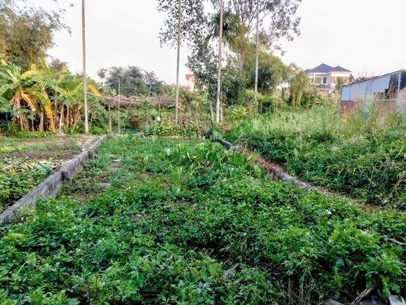 Đất Hồng Thái An Dương 73m² giá 1.45 tỷ - Đường 351 thuận tiện!