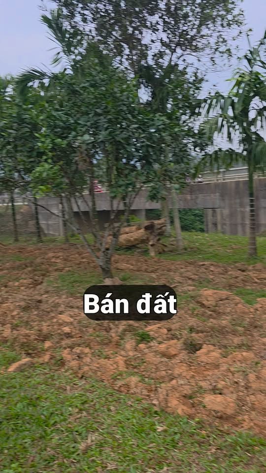 Đất nền xã Hà Linh, huyện Hương Khê, 2000m² - Cơ hội đầu tư hấp dẫn!