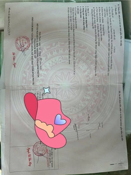 Đất Farm An Lộc Bình Long 18,000m² giá 3 tỷ - Cơ hội đầu tư tuyệt vời!