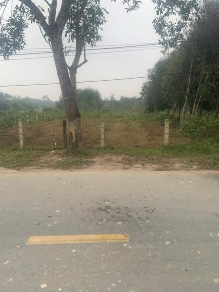 Lô đất đẹp 481m² tại Hương Khê, Hà Tĩnh - Giá chỉ 2.1 tỷ!