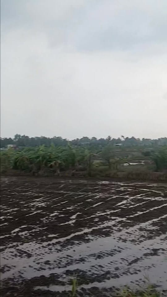 Đất nền An Thạnh, Bến Lức 3409m² giá chỉ 1.2 tỷ - Lợi thế gần khu công nghiệp!