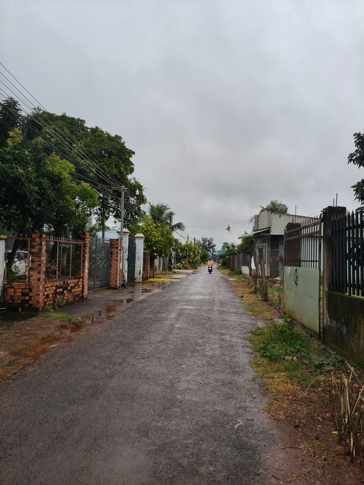 Đất nền đường Phạm Ngũ Lão, Phước Bình 150m² giá 750 triệu - Đầu tư sinh lời ngay!