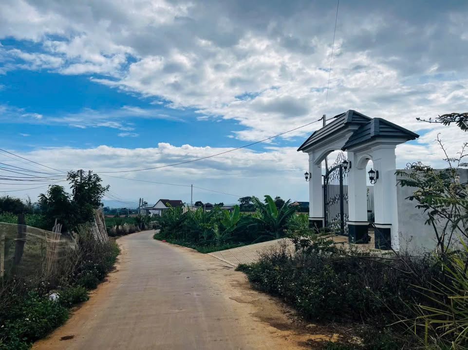 Đất nền Phú Hội 275m² giá 1.8 tỷ - Lô góc 2 mặt tiền, cơ hội đầu tư hấp dẫn!