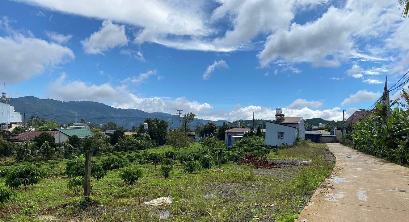 Đất nền Bảo Lộc 100m² giá 800 triệu - Cách Quốc lộ 20 chỉ 200m!