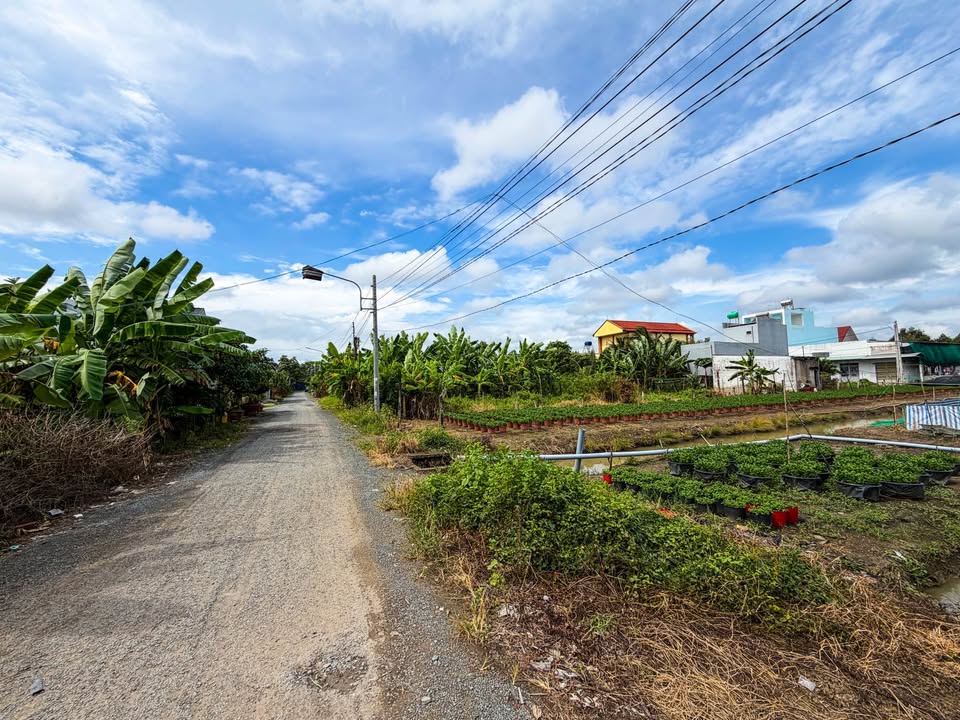 Đất nền mặt tiền Tân Dân Thuận, Mỹ Tho 200m² giá 1.6 tỷ - Đầu tư sinh lời nhanh!