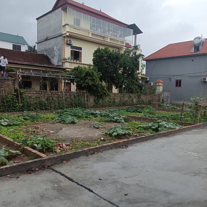 Đất nền Trạm Lộ 80m² giá chỉ 2 tỷ - Sổ đỏ chính chủ, tiện kinh doanh