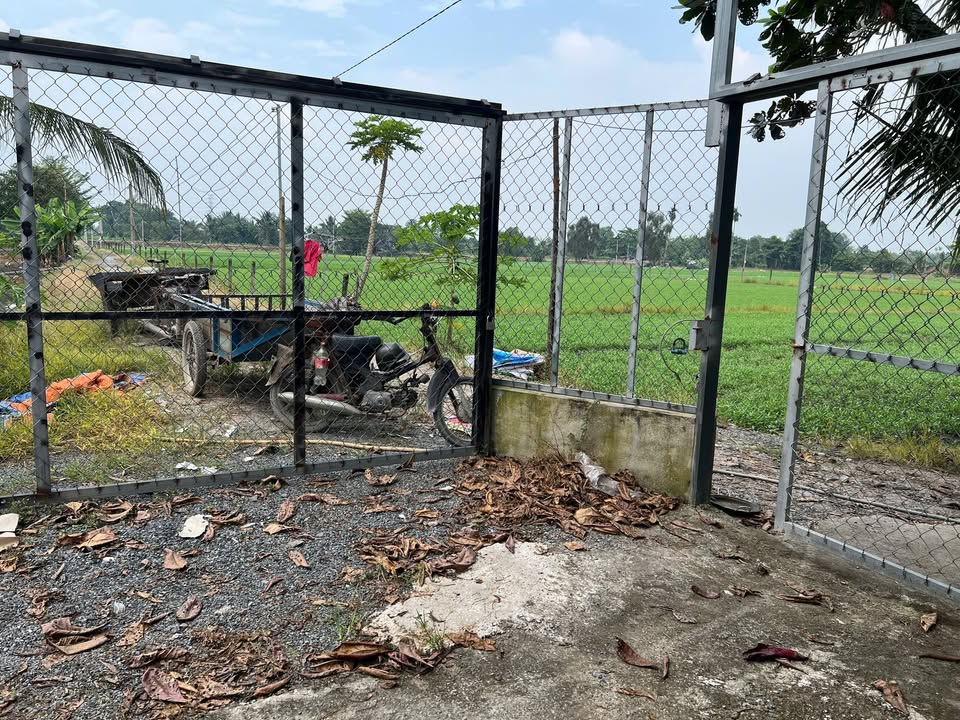 Nhà vườn 500m² tại Bình Mỹ, Củ Chi - Cho thuê chỉ 3 triệu/tháng!