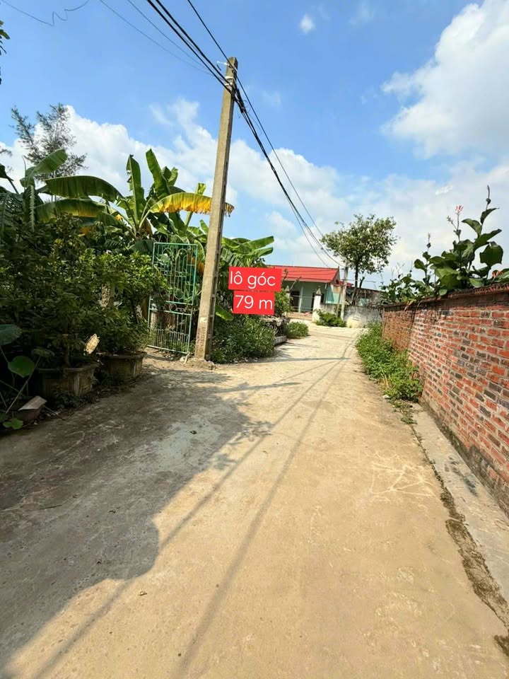 Đất nền lô góc Đoàn Đào Phù Cừ 79m² giá 1.5 tỷ - Đường thông ô tô, gần chợ và trường học!