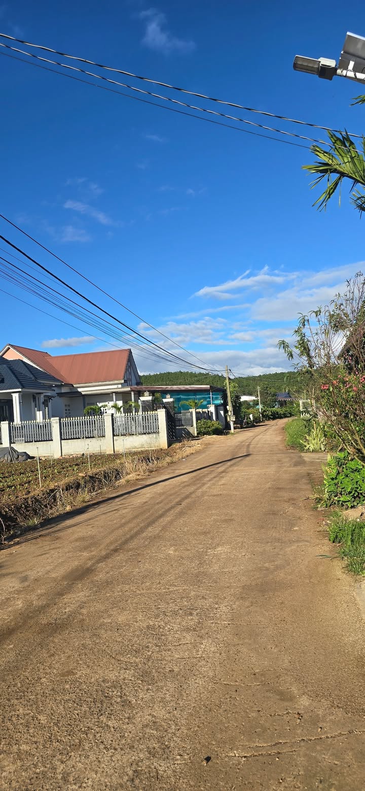 Đất nền Tân Hội, Đức Trọng 110m² giá 785 triệu - Đầu tư sinh lời cao!