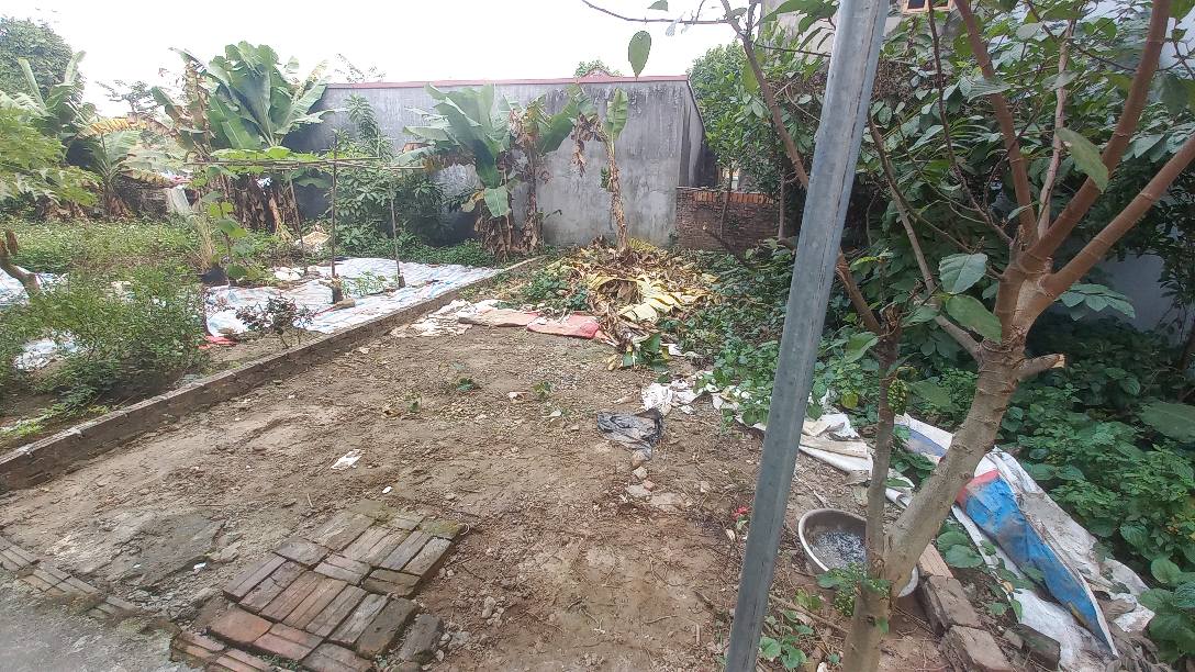 Đất nền Phúc Lợi Long Biên 41m² giá 5 tỷ - Sổ đỏ chính chủ, thương lượng tốt!