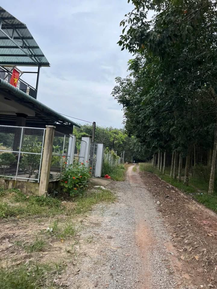 Đất nền Bàu Bàng 1600m² giá thỏa thuận - Cơ hội đầu tư sinh lời!