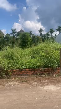 Đất nền thôn 2 xã Ea Ktur 310m² giá 6.51 tỷ - Cơ hội đầu tư hấp dẫn!