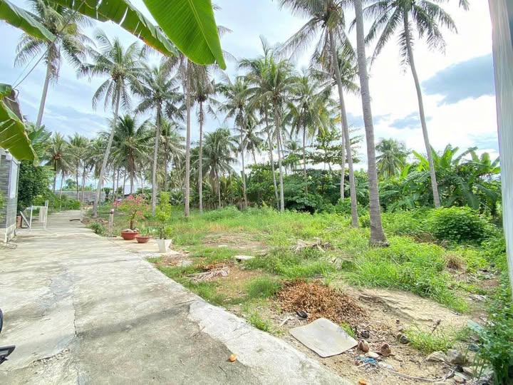 Đất Ngọc Thảo Nha Trang 218.8m² giá 1.48 tỷ - Đầu tư sinh lời ngay!