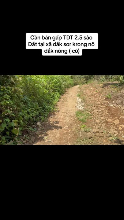 Đất Farm 9000m² tại Đắk Sôr, Krông Nô - Bán gấp, giá thỏa thuận!