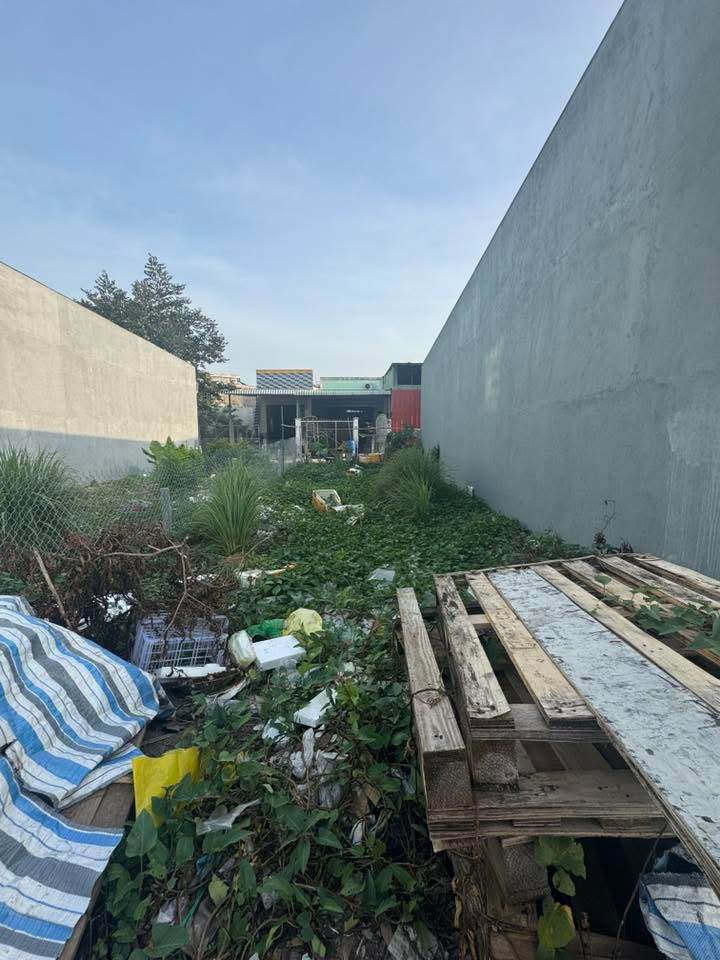 Đất nền Đỗ Công Tường, Cao Lãnh 77.5m² giá 3 tỷ - Vị trí trung tâm tiện ích!